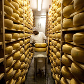 Cheese Maturing Process